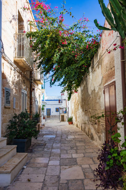 istock Alleyway. Polignano a mare. Puglia. Italy 1220411669
