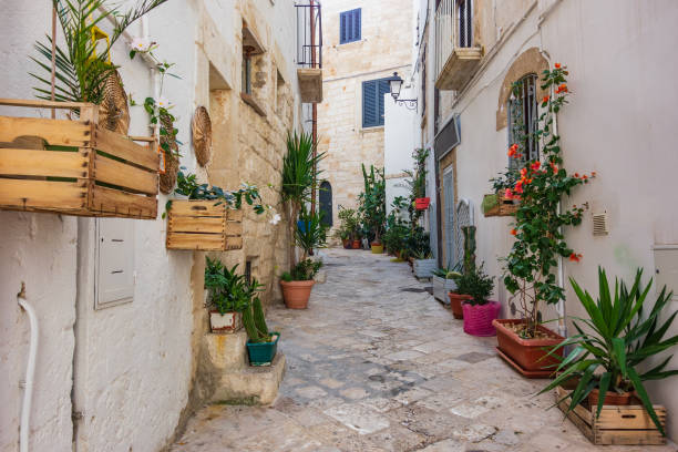 istock Alleyway. Polignano. Puglia. Italy. 1220411714