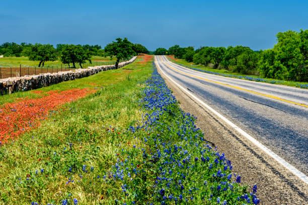 Road Trip Texas Pictures | Download Free Images on Unsplash