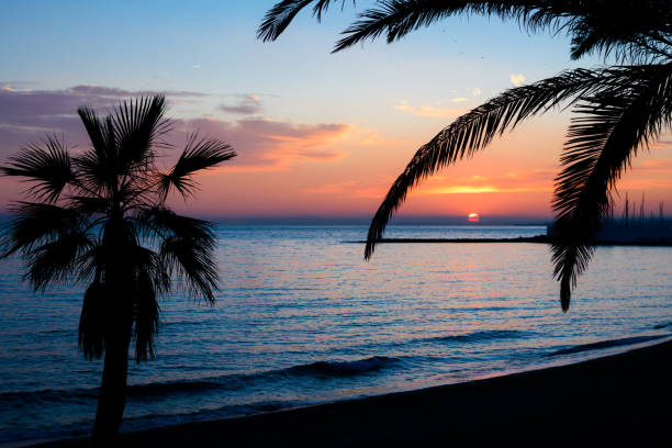 istock Sunset on the sea. 1220413323