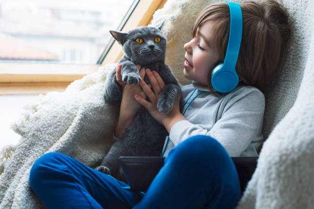 istock Smiling boy with cat staying home due to pandemic 1220413462