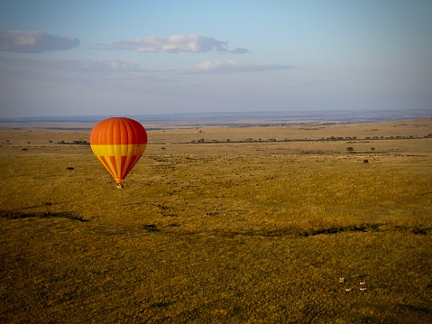 Red and Yellow hot air balloon flying over the Masai Mara National Park as the Wilderbeest migrate