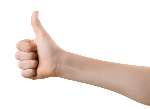 istock Hand shows a gesture of approval. 1220413722