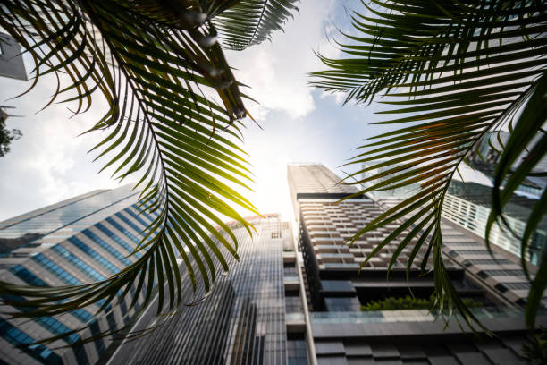 istock Look up at urban cityscape 1220413854