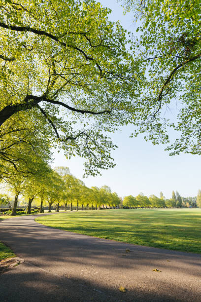 istock Green Park fresh morning 1220414138