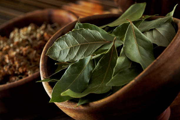 Laurel Leaves Dried Laurel Leaves bay tree stock pictures, royalty-free photos & images