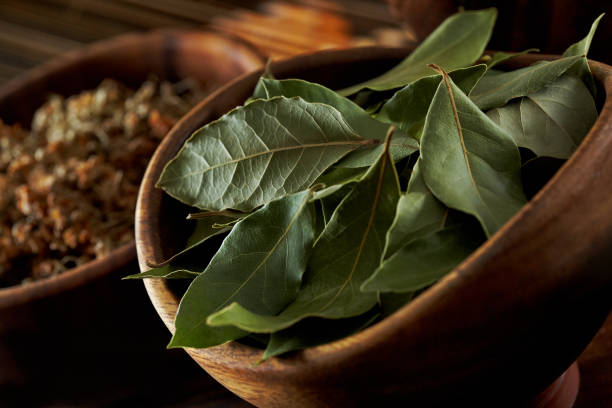 лавровые листья - bay leaf стоковые фото и изображения