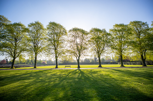 UK Leicester, Abbey Park 2020 beautiful sunrise with the sun streaking through the trees and blue sky, on a cosy sunny morning.