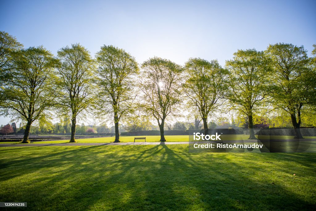 Green Park fresh sunrise morning UK Leicester, Abbey Park 2020 beautiful sunrise with the sun streaking through the trees and blue sky, on a cosy sunny morning. Leicester Stock Photo