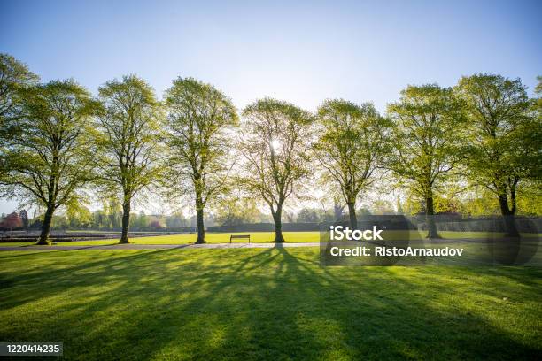 Green Park Fresh Sunrise Morning Stock Photo - Download Image Now - Leicester, Public Park, Empty