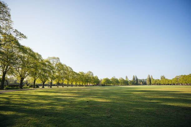 istock UK Park at sunrise 1220414315
