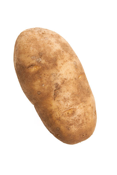 Russet Potato stock photo