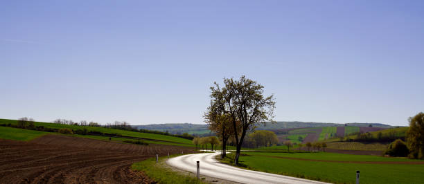 istock Road amidst agricultural field against sky 1220415907