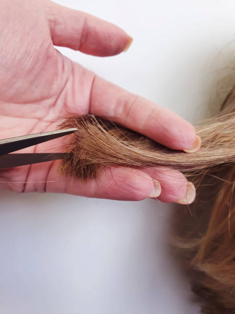 istock scissors long female hair 1220418863