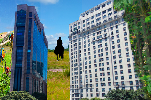 buildings in the city and nature with trees, macaws and man riding a horse