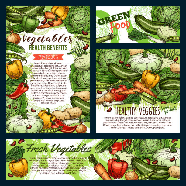 illustrations, cliparts, dessins animés et icônes de légumes et légumes verts, croquis de nourriture de ferme - artichoke celery radish kohlrabi