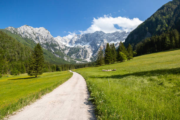 istock Jezersko, Slovenia mountain valley 1220423052