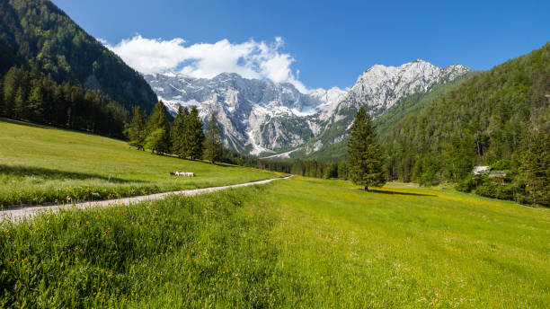 istock Jezersko, Slovenia mountain valley 1220423076