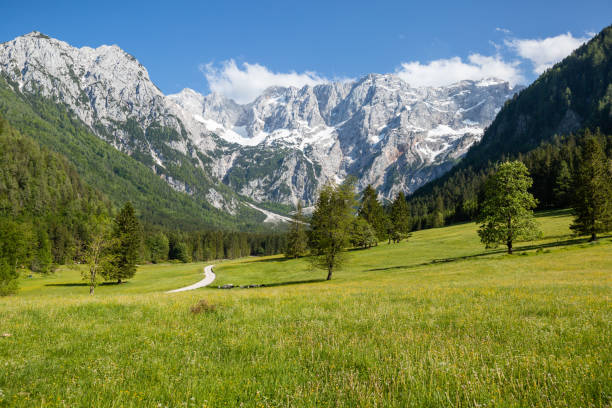 istock Jezersko, Slovenia mountain valley 1220423160