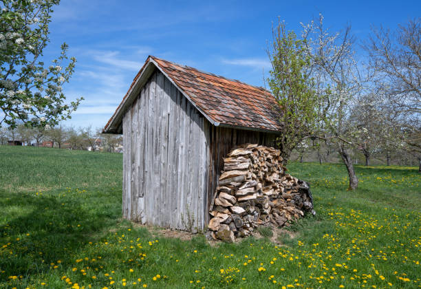 Small wooden hut with woodpile on a flowering meadow in springtime in an orchard