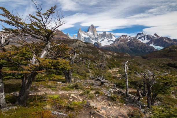 istock Fitz Roy Mountain in Argentina's Glacier National Park 1220429435