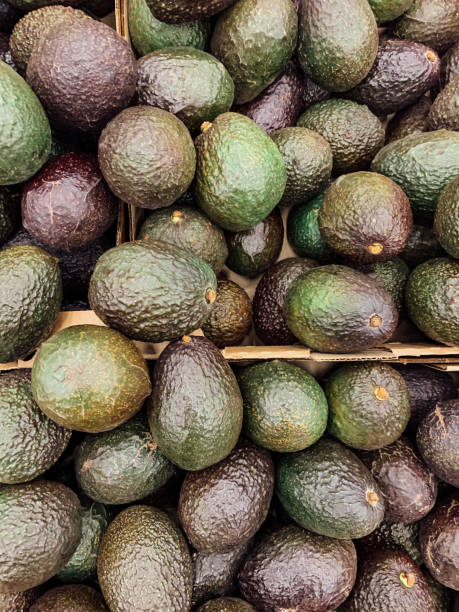 istock lots of ripe avocado fruit for eating background 1220429505