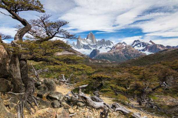Fitz Roy Mountain in Argentina's Glacier National Park