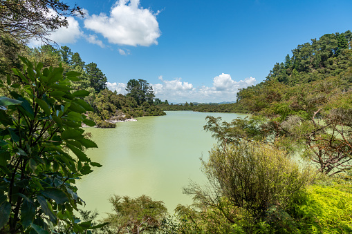 Rotorua, New Zealand