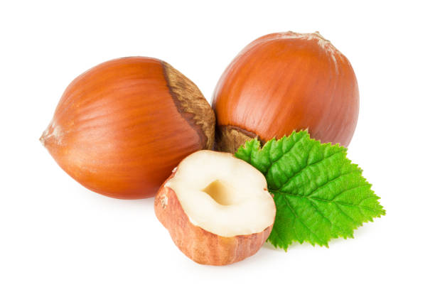 istock hazelnuts with leaves isolated on white background 1220434124