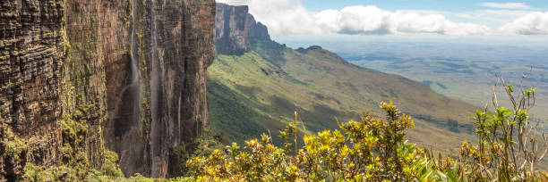 istock Mount Roraima banner web, Venezuela, South America. 1220435211