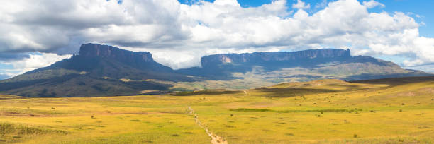 istock Mount Roraima banner web, Venezuela, South America. 1220436723