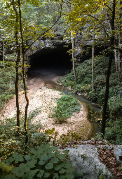 istock Russell Cave National Monument Entrance Vertical Wide Angle - 1991 1220439283