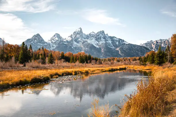 Teton mountain range reflection in the Snake River at Schwabacher's Landing in Grand Teton National Park, Wyoming. Fall scenic nature landscape with evergreen trees and a mountain water reflection.