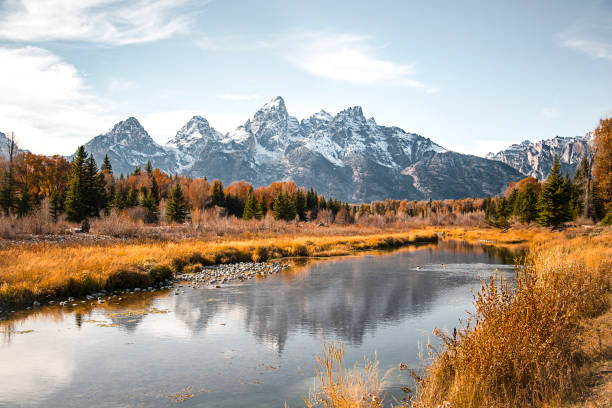 réflexion de chaîne de montagnes de teton dans la rivière snake à l’atterrissage de schwabacher dans le parc national de grand teton, wyoming. paysage naturel pittoresque d’automne avec des arbres à feuilles persistantes et une réflexion d’eau  - wyoming teton range jackson hole autumn photos et images de collection