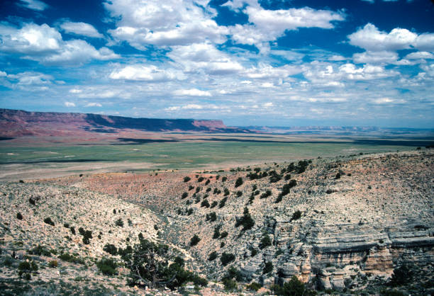 istock Vermilion Cliffs NM - Vermilion Cliffs Landscape - 1990 1220439407