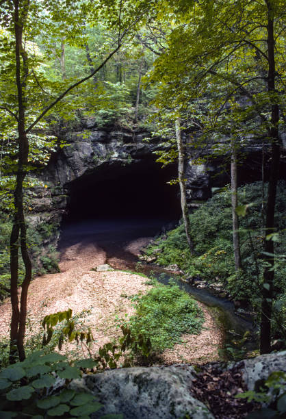istock Russell Cave National Monument  - 1991 1220440426