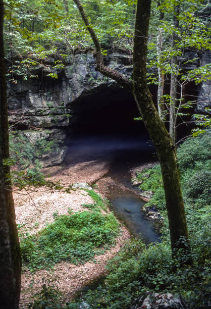 istock Russell Cave National Monument Entrance Vertical Close-up - 1991 1220440586