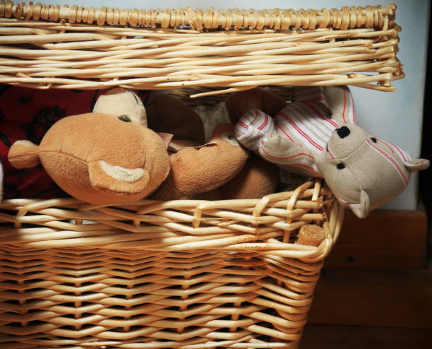 istock Teddy in a toy chest 1220440598