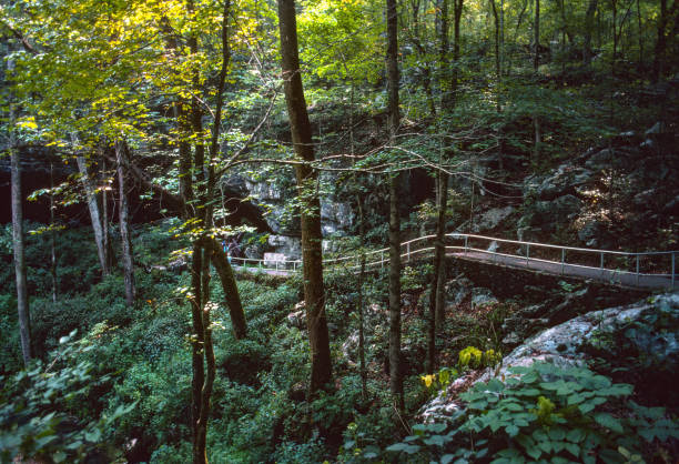 istock Russell Cave National Monument - Boardwalk - 1998 1220440797