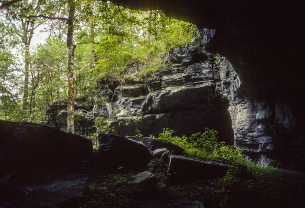 istock Russell Cave National Monument - View From Inside - 1991 1220441427