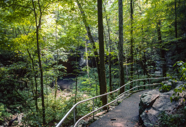 istock Russell Cave National Monument - Horizontal Trail - 1991 1220441492