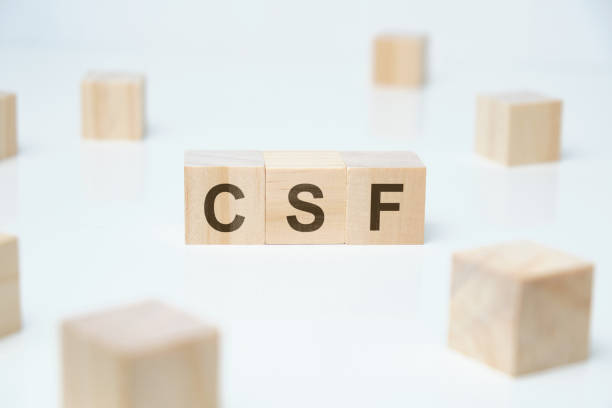 istock Modern business buzzword - csf - critical success factor. Word on wooden blocks on a white background. 1220441512