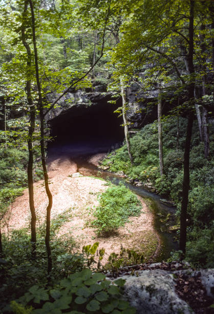istock Russell Cave National Monument Entrance Vertical - 1991 1220442478