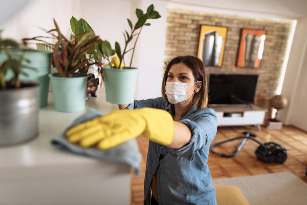 frau wischt staub aus regal und andere möbel im wohnzimmer - cleaning services stock-fotos und bilder