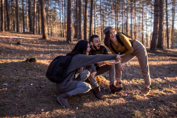 istock Friends in the forest 1220444396