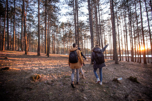 istock Friends in the forest 1220445500