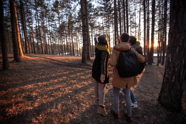istock Friends in the forest 1220445513