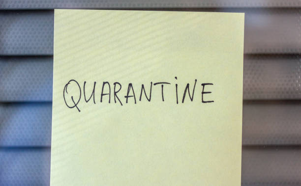 istock yellow sticker over blinds with quarantine word 1220445933