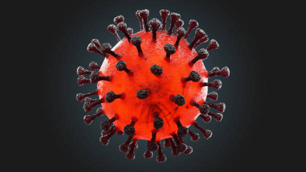 istock Covid 19 black and orange v2 1220448060