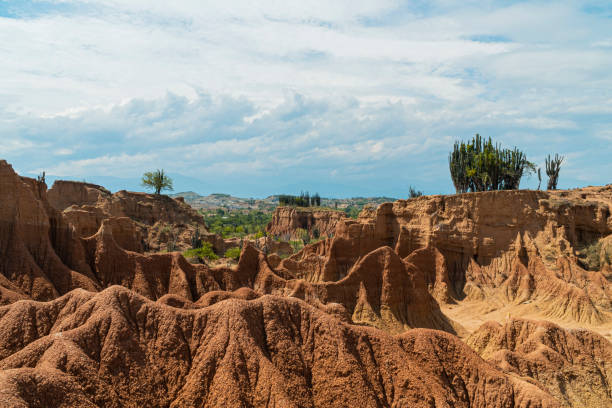istock Desert in southern Colombia 1220449485